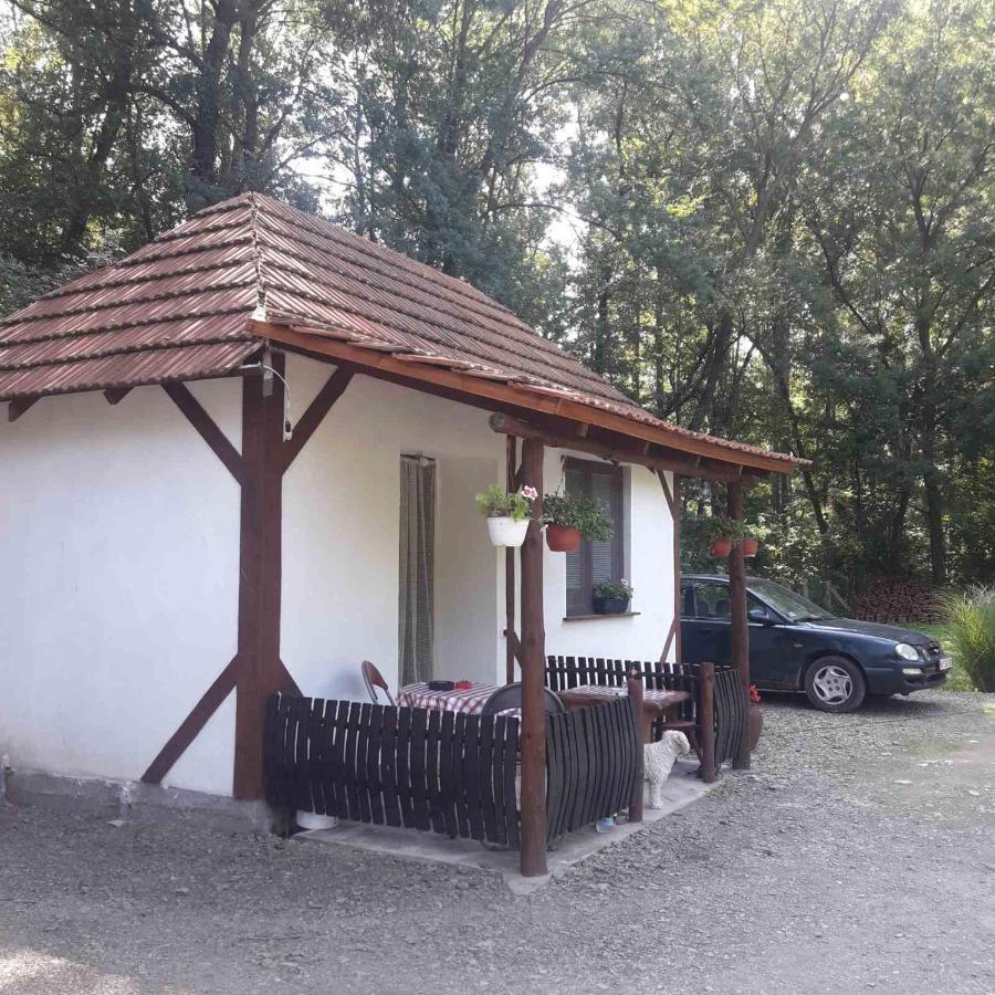 Sljivik Pensionat Ni Exteriör bild
