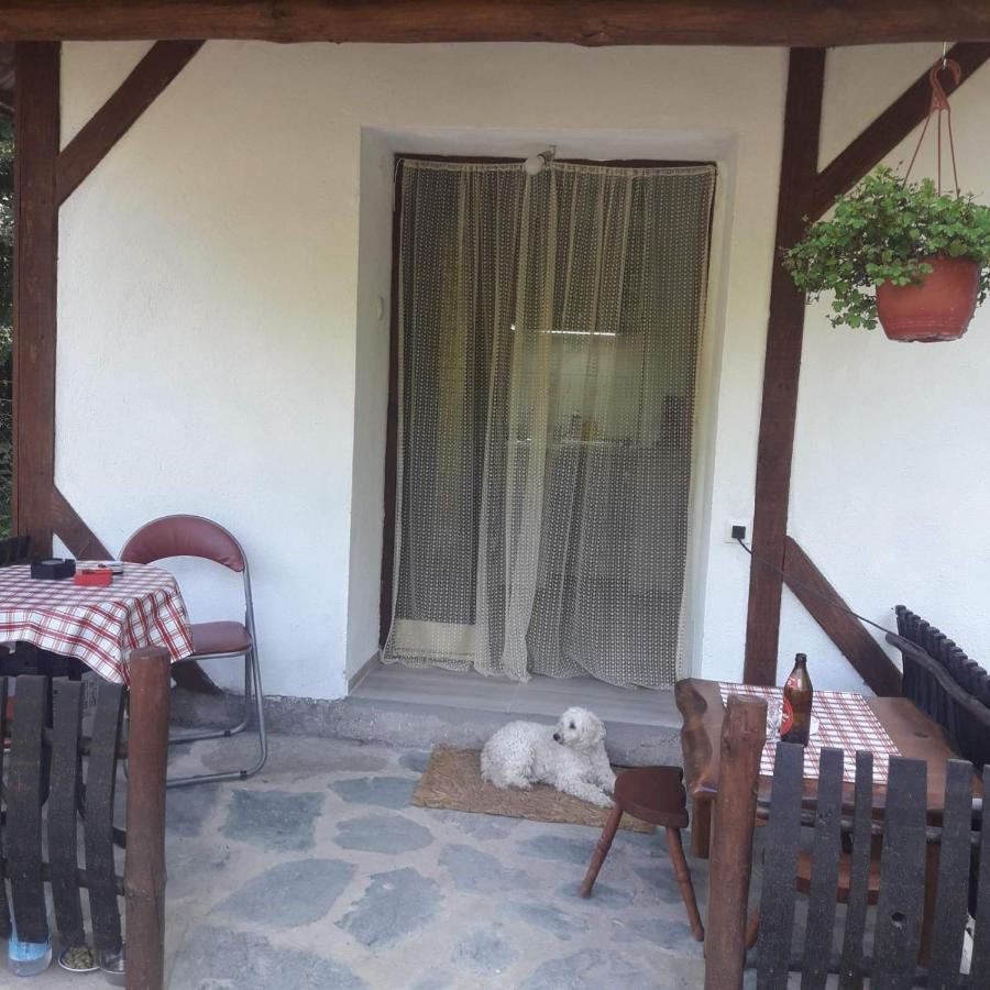 Sljivik Pensionat Ni Exteriör bild